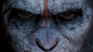 Новые постеры: «Планета обезьян: Революция»